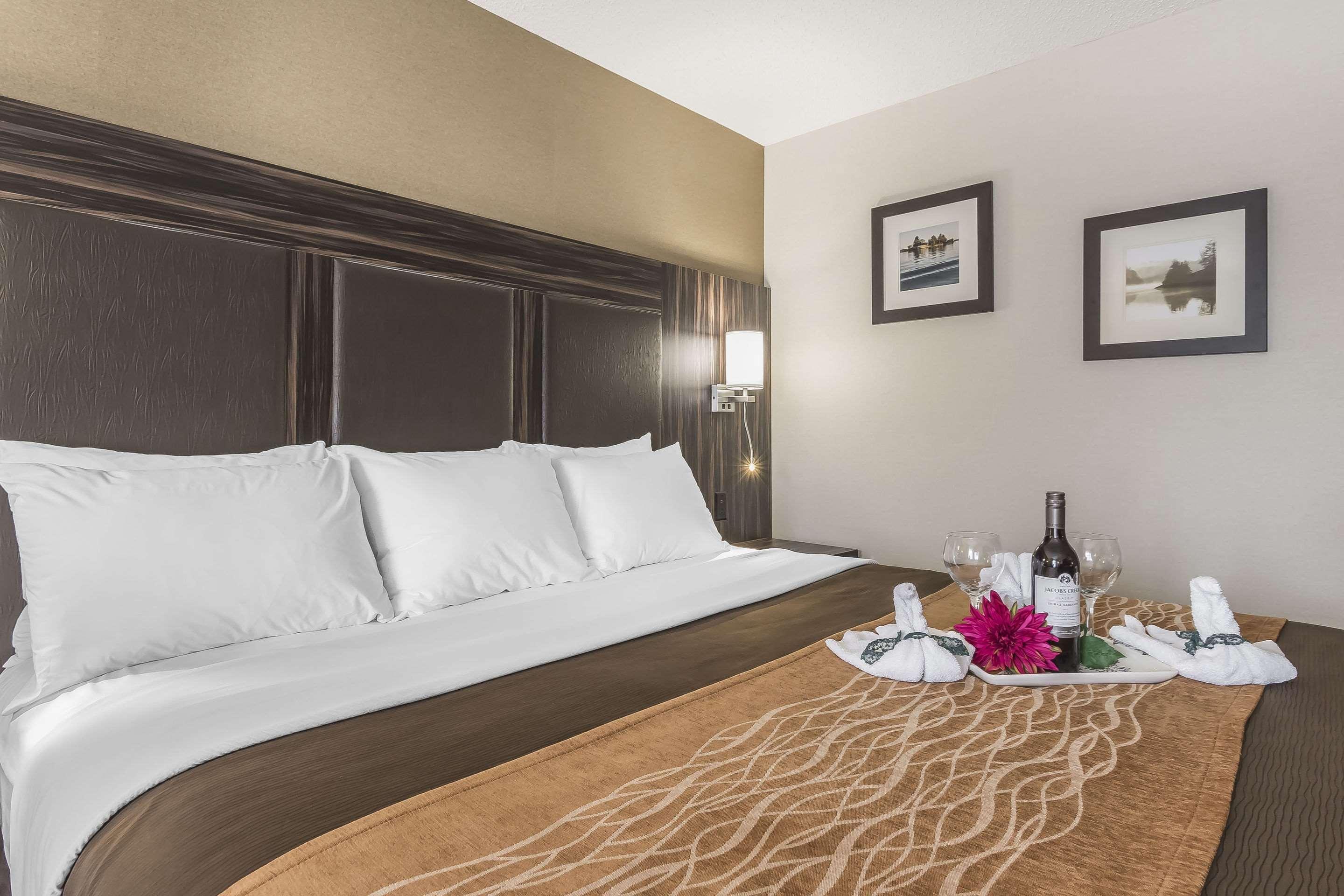Comfort Inn Τρέντον Εξωτερικό φωτογραφία
