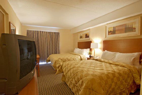 Comfort Inn Τρέντον Δωμάτιο φωτογραφία