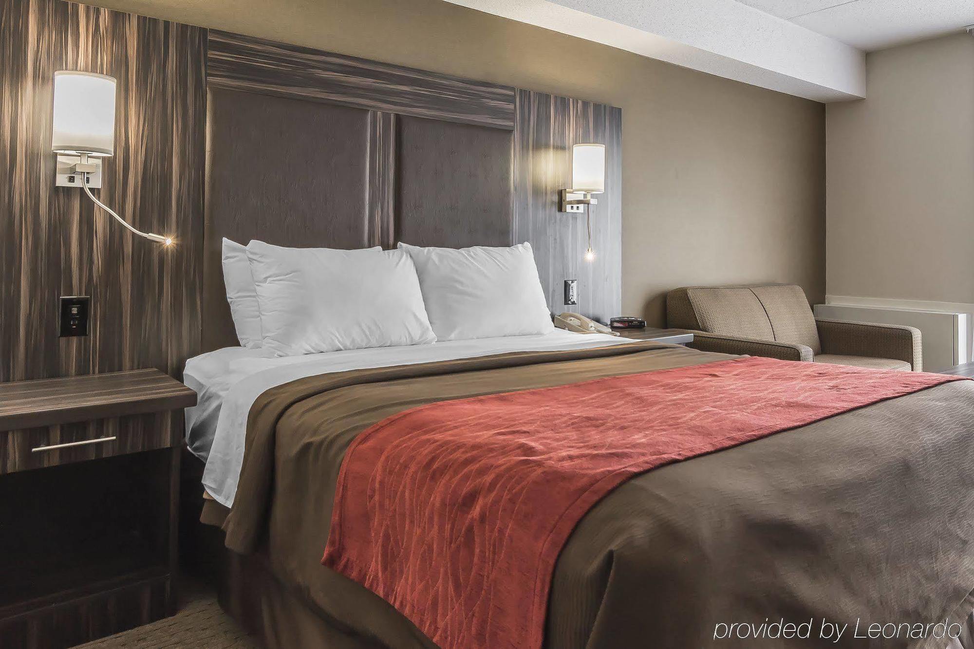 Comfort Inn Τρέντον Εξωτερικό φωτογραφία